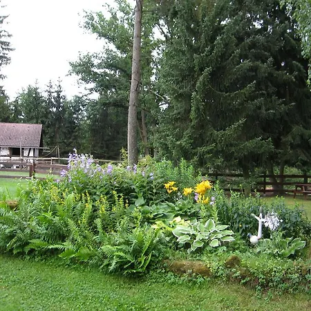 Апартаменты Hubner *