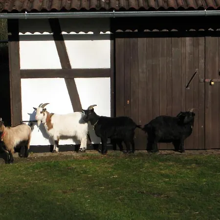 Hubner * Bernlohe (Roth)