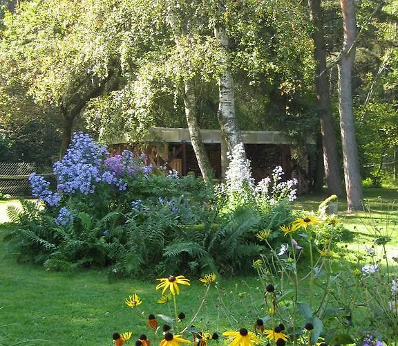 Hubner Bernlohe (Roth)