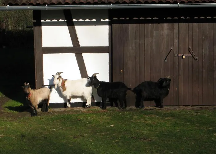 Hubner * Bernlohe (Roth)