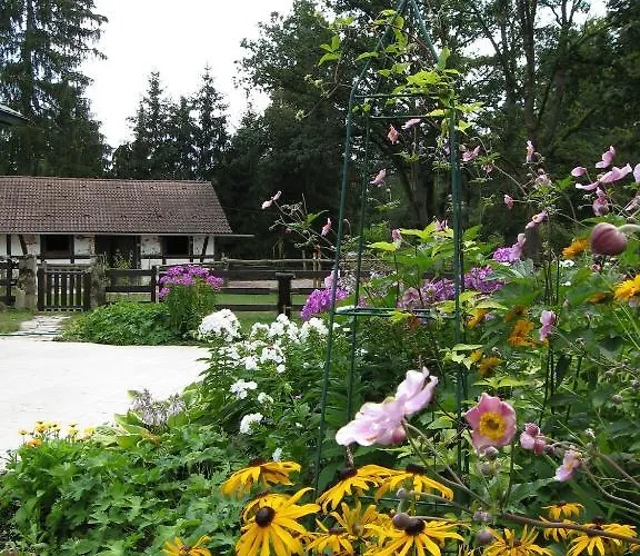 Hubner Bernlohe (Roth)